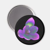 Mystic Beauty Crocus Blume Magnet (Vorderseite/Rückseite)