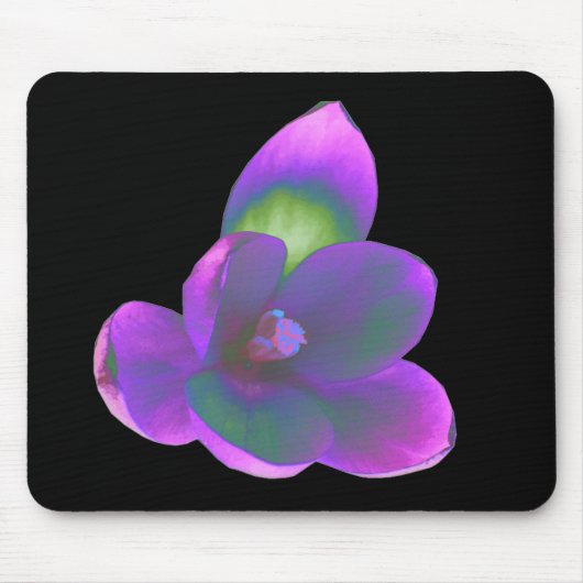 Mystic Beauty Crocus Blume Mousepad (Vorne)