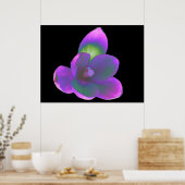 Mystic Beauty Crocus Blume Print Poster (Küche)