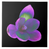 Mystic Beauty Crocus Blume Tile Fliese (Vorderseite)
