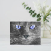 Mystic Cat Postcard Postkarte (Stehend Vorderseite)