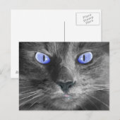 Mystic Cat Postcard Postkarte (Vorne/Hinten)