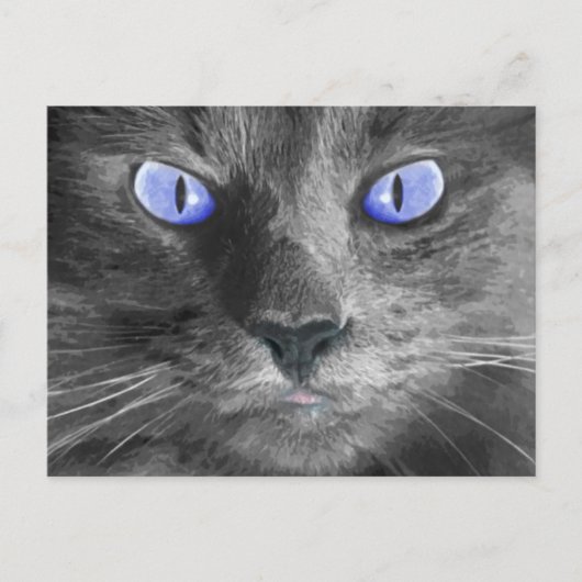 Mystic Cat Postcard Postkarte (Vorderseite)