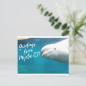 Mystic CT Post Card - Burger Post Art #004 unterze Postkarte (Stehend Vorderseite)