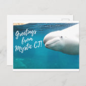 Mystic CT Post Card - Burger Post Art #004 unterze Postkarte (Vorne/Hinten)