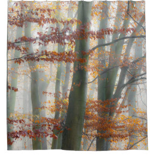Mystic Foggy Forest im Herbst - Duschvorhang