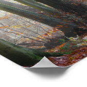 Mystic Foggy Forest im Herbst Poster (Ecke)