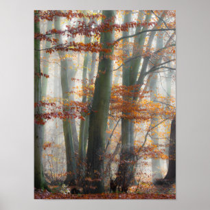 Mystic Foggy Forest im Herbst Poster