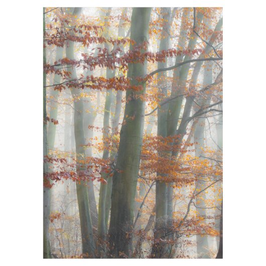 Mystic Foggy Forest im Herbst Tischdecke (Vorderseite)
