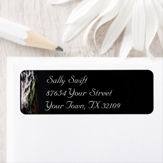 Mystic Friesian (Insitu)