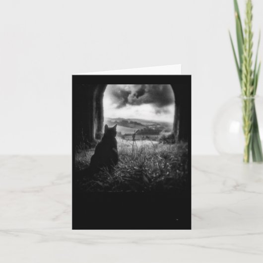 Mystic Meow Sticker Karte (Vorderseite)