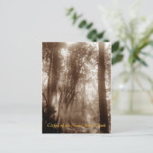 Mystic Morning CN1 - postcard Postkarte (Stehend Vorderseite)