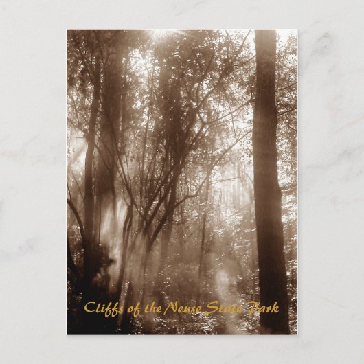 Mystic Morning CN1 - postcard Postkarte (Vorderseite)