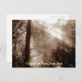 Mystic Morning CN4 - Postkarte (Vorne/Hinten)
