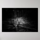 Mystic Night Forest – Moody Nature Landscape Poster (Vorne)