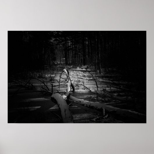 Mystic Night Forest – Moody Nature Landscape Poster (Vorne)