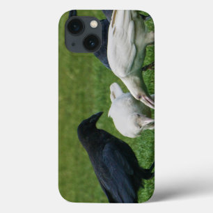 Mystic Ravens White Spirit Raven Corvid Lover Case