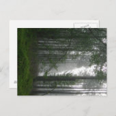 Mystic Woods Postkarte (Vorne/Hinten)