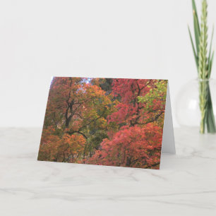 Mystical Autumn (3) Greeting Cards Karte
