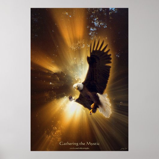 Mystical Bald Eagle & Rays of Sunlight Fantasy Art Poster (Vorne)