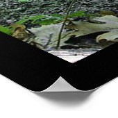 Mystical Brook Poster (Ecke)