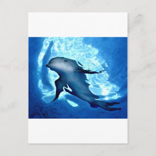 Mystical Dolphin.jpg Postkarte