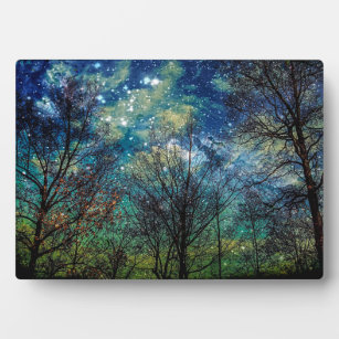 Mystical Forest Celestial Blue Night Sky Fotoplatte