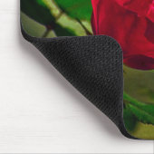 Mystical Garden Gotische Valentinstag Rote Rose Mousepad (Ecke)