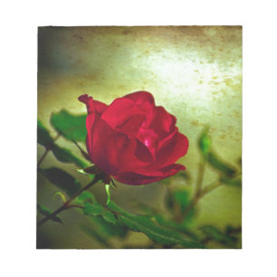 Mystical Garden Gotische Valentinstag Rote Rose Notizblock