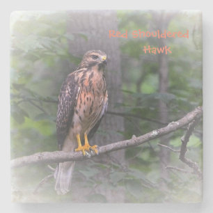 Mystical Hawk Steinuntersetzer