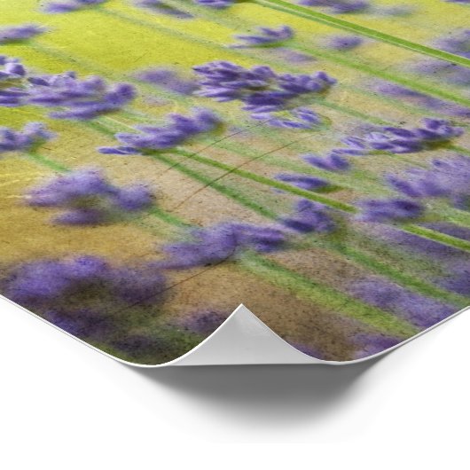 Mystical Lavender Poster (Ecke)