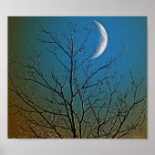 Mystical Moon ll Poster (Vorne)
