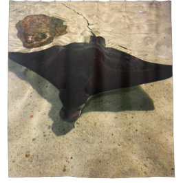 Mystical Stingray Duschvorhang