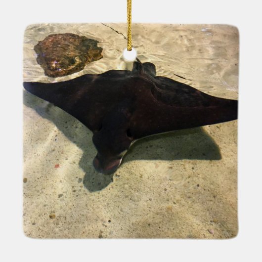 Mystical Stingray Keramikornament (Rückseite)