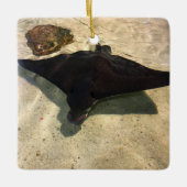 Mystical Stingray Keramikornament (Vorderseite)