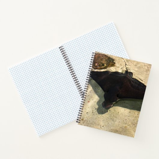 Mystical Stingray Notizblock (Innenseite)