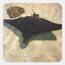 Mystical Stingray Quadratischer Aufkleber