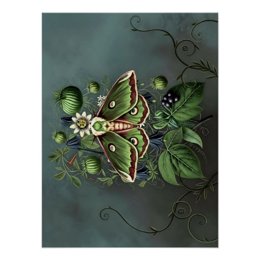Mystical Woodland Moth Poster (Vorderseite)