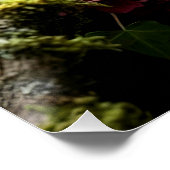 Mystical Woodland Moth Poster (Ecke)