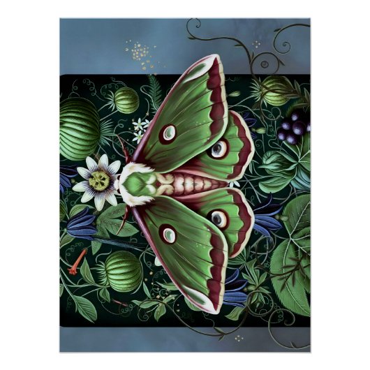 Mystical Woodland Moth Poster (Vorderseite)