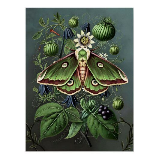 Mystical Woodland Moth Poster (Vorderseite)