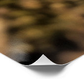 Mystical Woodland Moth Poster (Ecke)