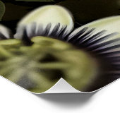 Mystical Woodland Moth Poster (Ecke)