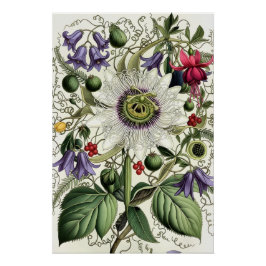 Mystical Woodland Moth Poster