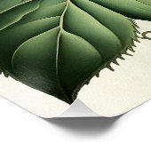 Mystical Woodland Moth Poster (Ecke)