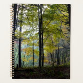 Mystical Woods Quechee Gorge Planer (Vorderseite)