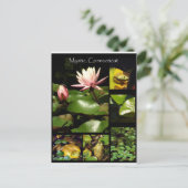 Mystik, Connecticut Postkarte (Stehend Vorderseite)