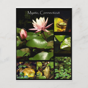 Mystik, Connecticut Postkarte