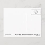 MYSTIKER SCHICK! POSTKARTE (Rückseite)