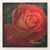 Mystique Dark Botanical Red Orange Rose Coaster Glasuntersetzer (Vorderseite)
